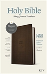 KJV Large Print Premium Value Thinline Bible, Filament Enabled Edition: 9781496460561