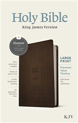 KJV Large Print Premium Value Thinline Bible, Filament Enabled Edition: 9781496460561