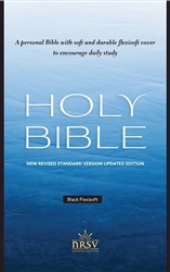 NRSV Updated Edition Holy Bible: 9781496472137