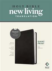 NLT Giant Print Bible, Filament-Enabled Edition: 9781496482280