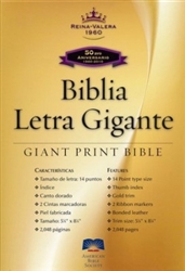 Span-RVR 1960 Giant Print Bible: 9781585168972