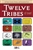 Twelve Tribes of Israel: 9781596369160