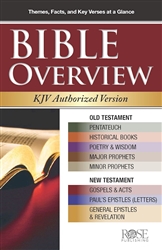 Bible Overview Pamphlet-KJV: 97816286280365