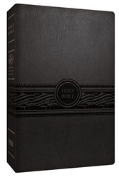 MEV Personal Size Large Print Bible: 9781629980669
