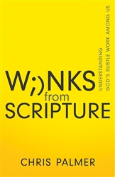 Winks From Scripture by Palmer: 9781641238465