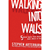 Walking into Walls: 5 Blind Spots That Block God's Work in You - Stephen Arterburn: 9781936034505