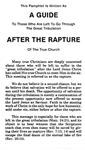 A Guide After the Rapture