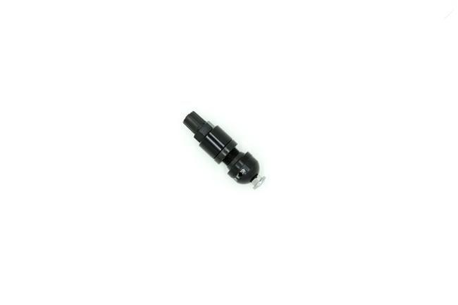 Black Valve Stem