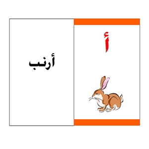 Flashcards FLCD1 Front Cover