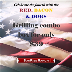 Red, Bacon & Dogs - Fourth of July Box