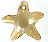 16mm Starfish Pendant Golden Shadow