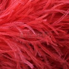 Ostrich Feather Boas - 2 ply