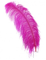 Dyed Ostrich Plumage