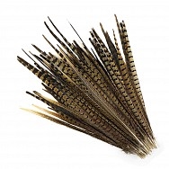 Pheasant Tails - Natural 14-16"