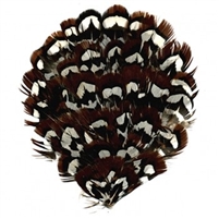 Venery Pheasant, Black, Brown, White Feather Pad