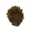 Natural Female Ringneck Pheasant Feather Pad