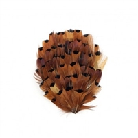 Natural Heart Ringneck Pheasant Feather Pad