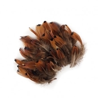 Loose Natural Pheasant Heart - #2932