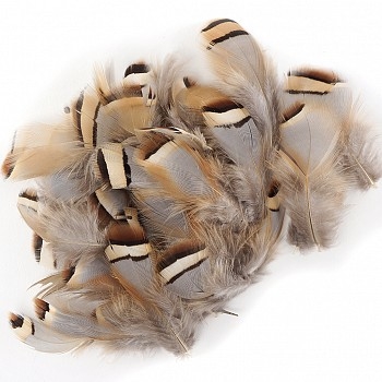 Loose Natural Partridge Plumage Feathers - #2933