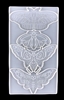 Silicone Butterfly and Moth Mold