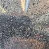 Plastic Glitter - Silver