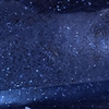 Polyester Glitter - Fine - Royal Blue
