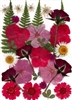 Pressed Dried Flowers - Red flowers