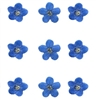 Mini Dried Flowers - Forget me not flowers