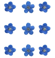 Mini Dried Flowers - Forget me not flowers