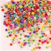 Mini Dried Flowers - Multi-color pack