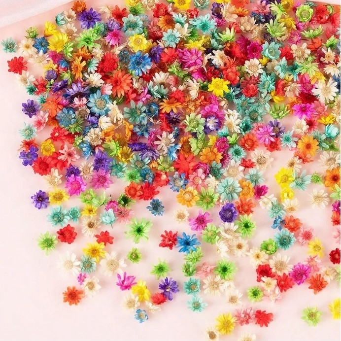 Mini Dried Flowers - Multi-color pack