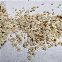Mini Dried Flowers - 3D Flowers - White