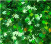 Holographic Marijuana Leaves