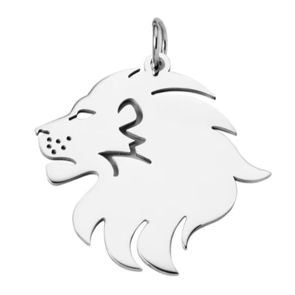 Stainless Steel Lion Head Charm