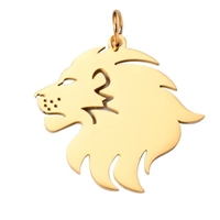 Stainless Steel Lion Head Charm