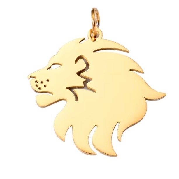 Stainless Steel Lion Head Charm