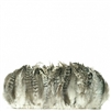 Strung Rooster Grey Chinchilla Schlappen Feathers - #2920