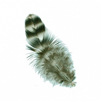 Chinchilla Schlappen Hat Feathers