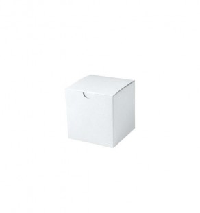 4" x 4" x 4" White Tuck It Boxes