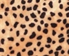 Short Pile Cheetah Print Craft Fur