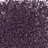 DB2360 Duracoat Opaque Dark Purple- Miyuki Delica Seed Beads - 11/0