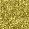 DB424 Galvanized Dark Yellow Dyed - Miyuki Delica Seed Beads - 11/0