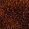 Taiwanese Size 11/0 Seed Bead - Silver Lined Brown - #31