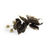 Black Orchid Object