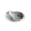 Ocean Reef Oyster Nut Dish