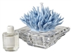 Debora Carlucci Blue Coral Crystal Base Aromatherapy Diffuser w/ Scent