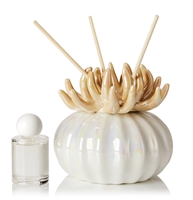 Debora Carlucci Ivory Reed Diffuser W/ Frosted Porcelain Bottom