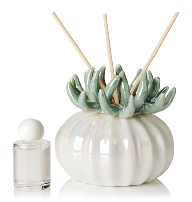 Debora Carlucci Coral Reed Teal Diffuser W/ Frosted Porcelain Bottom