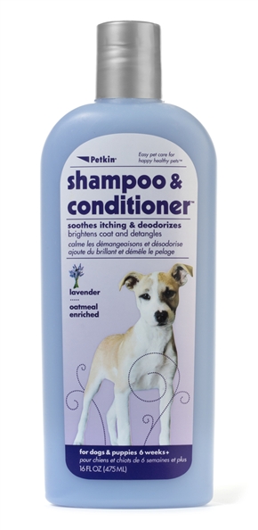 2-in-1 Shampoo & Conditioner - Lavender 16oz