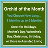 Orchid Of the Month Club
